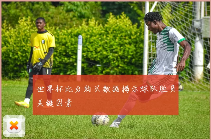 世界杯比分购买数据揭示球队胜负关键因素