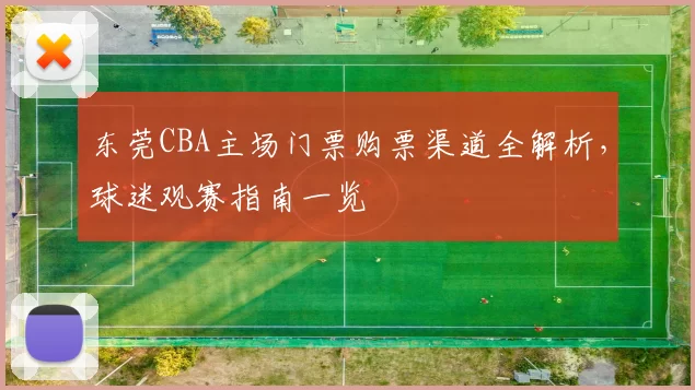 东莞CBA主场门票购票渠道全解析,球迷观赛指南一览