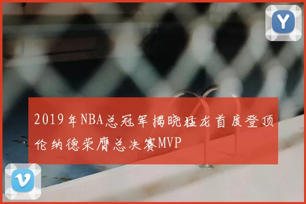 2019年NBA总冠军揭晓猛龙首度登顶伦纳德荣膺总决赛MVP