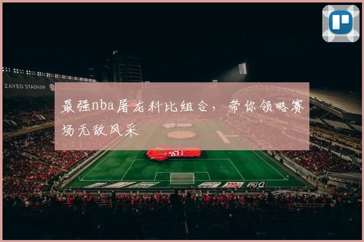 最强nba屠龙科比组合，带你领略赛场无敌风采