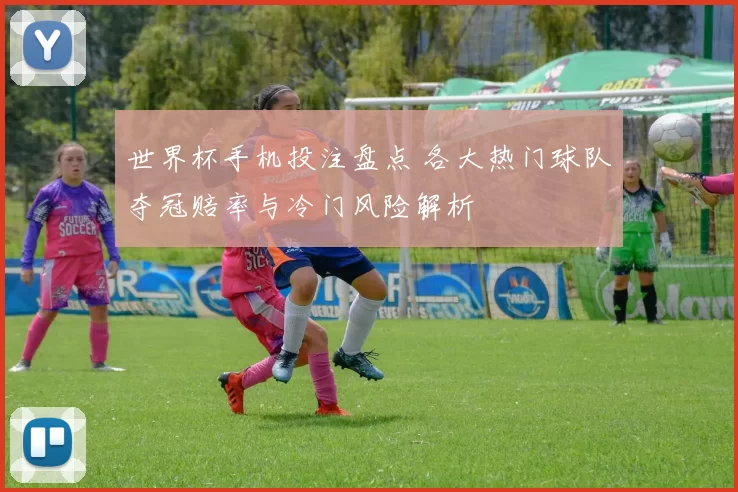 世界杯手机投注盘点 各大热门球队夺冠赔率与冷门风险解析